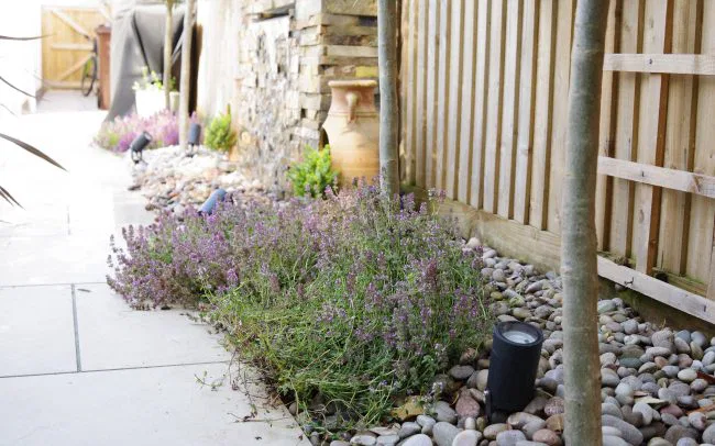Studio Hummingbird | Garden Designer Shoreham-by-Sea Waterfall feature in a garden in Sussex.