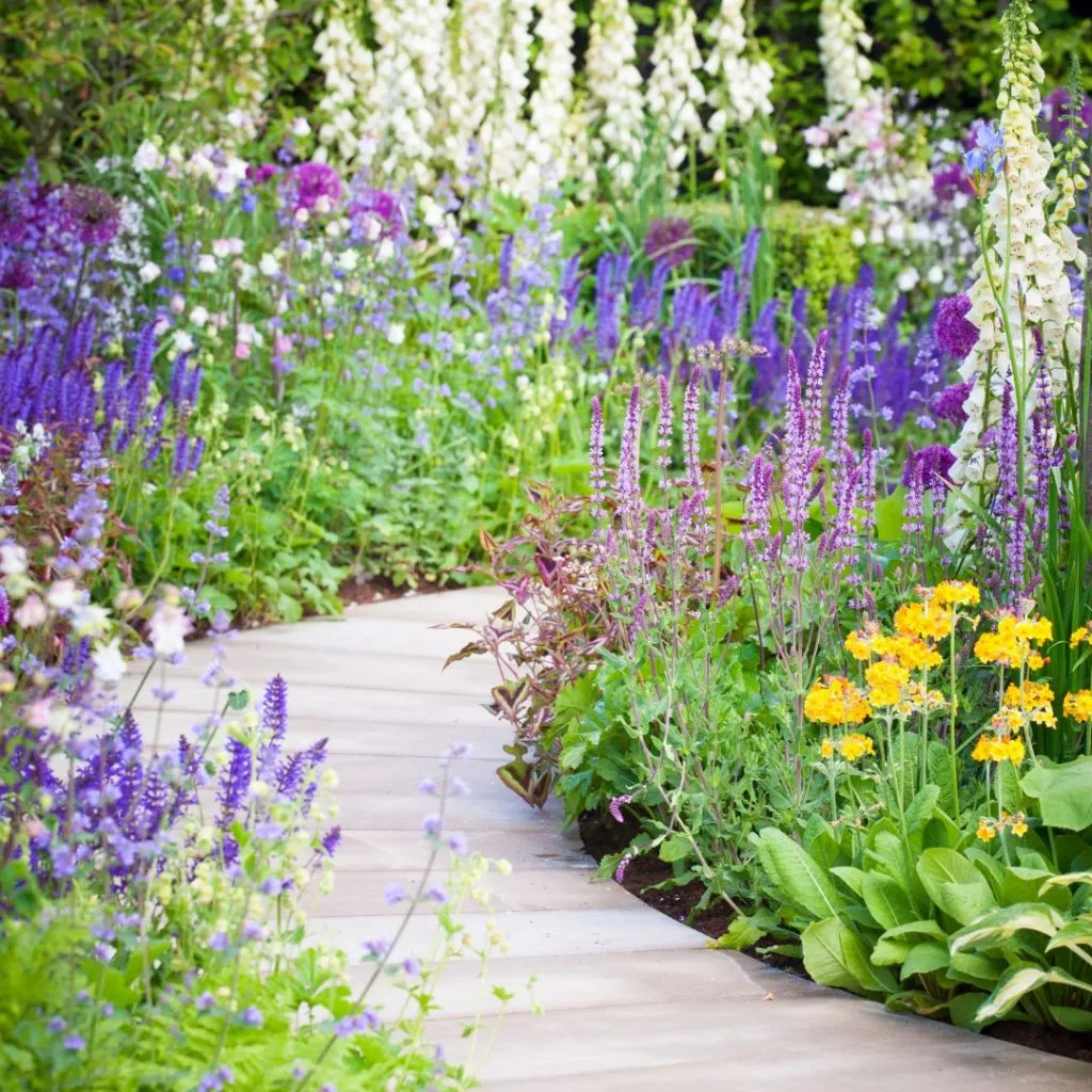 Pollinator-friendly garden and winding path