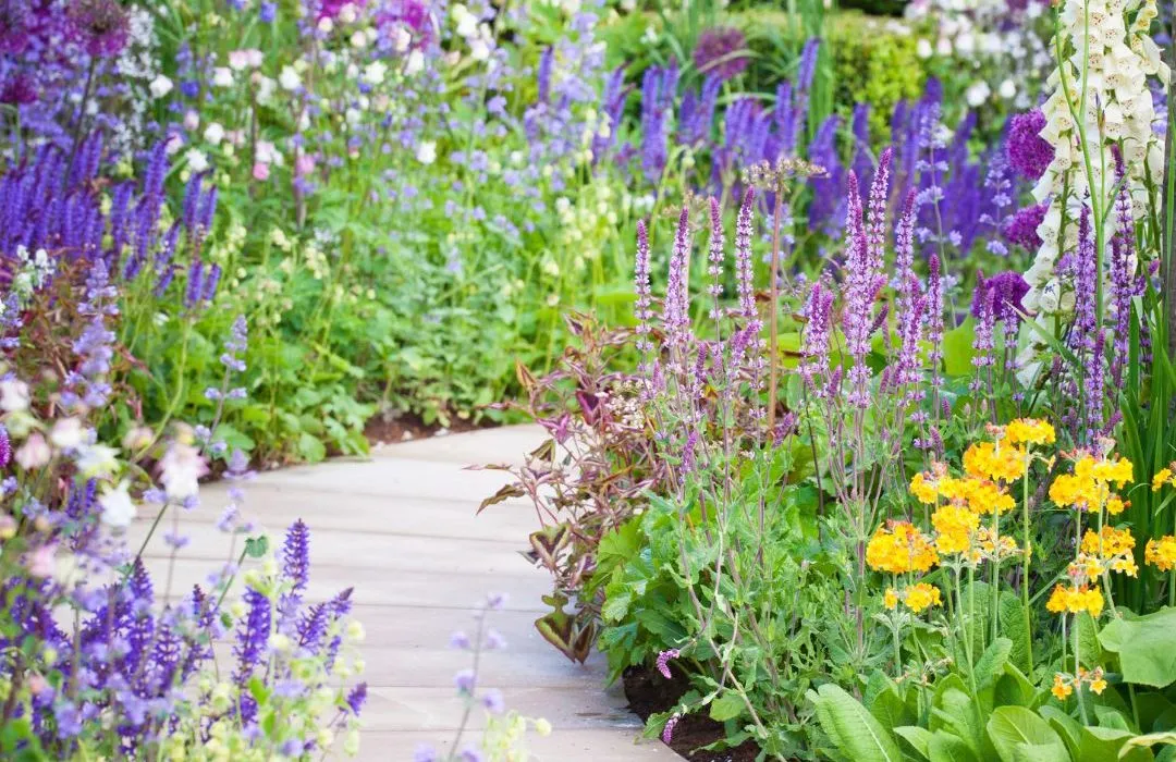 Pollinator-friendly garden and winding path
