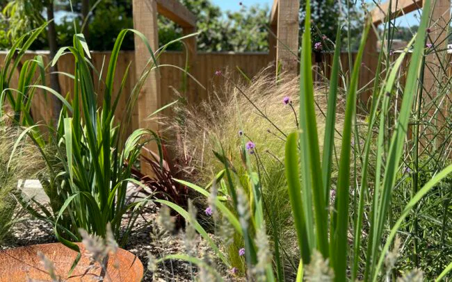 Studio Hummingbird | Garden Designer Tangmere Mindful garden in Tangmere