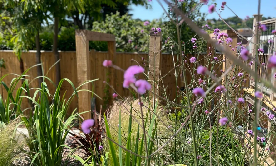 Verbena in front of a water bowl.