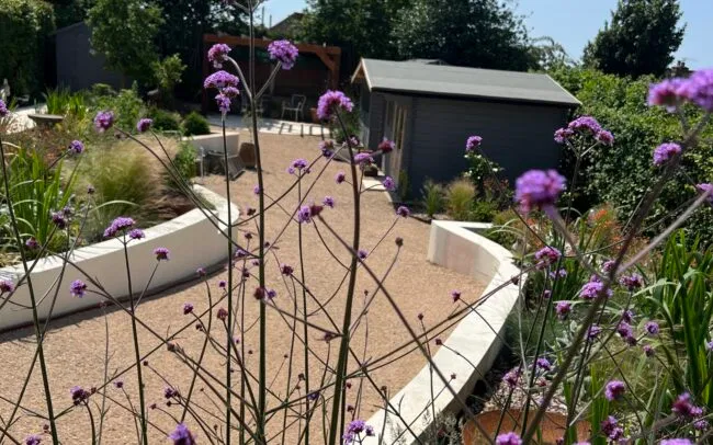 A sloped garden with selfbinding gravel path and Verbena plants.