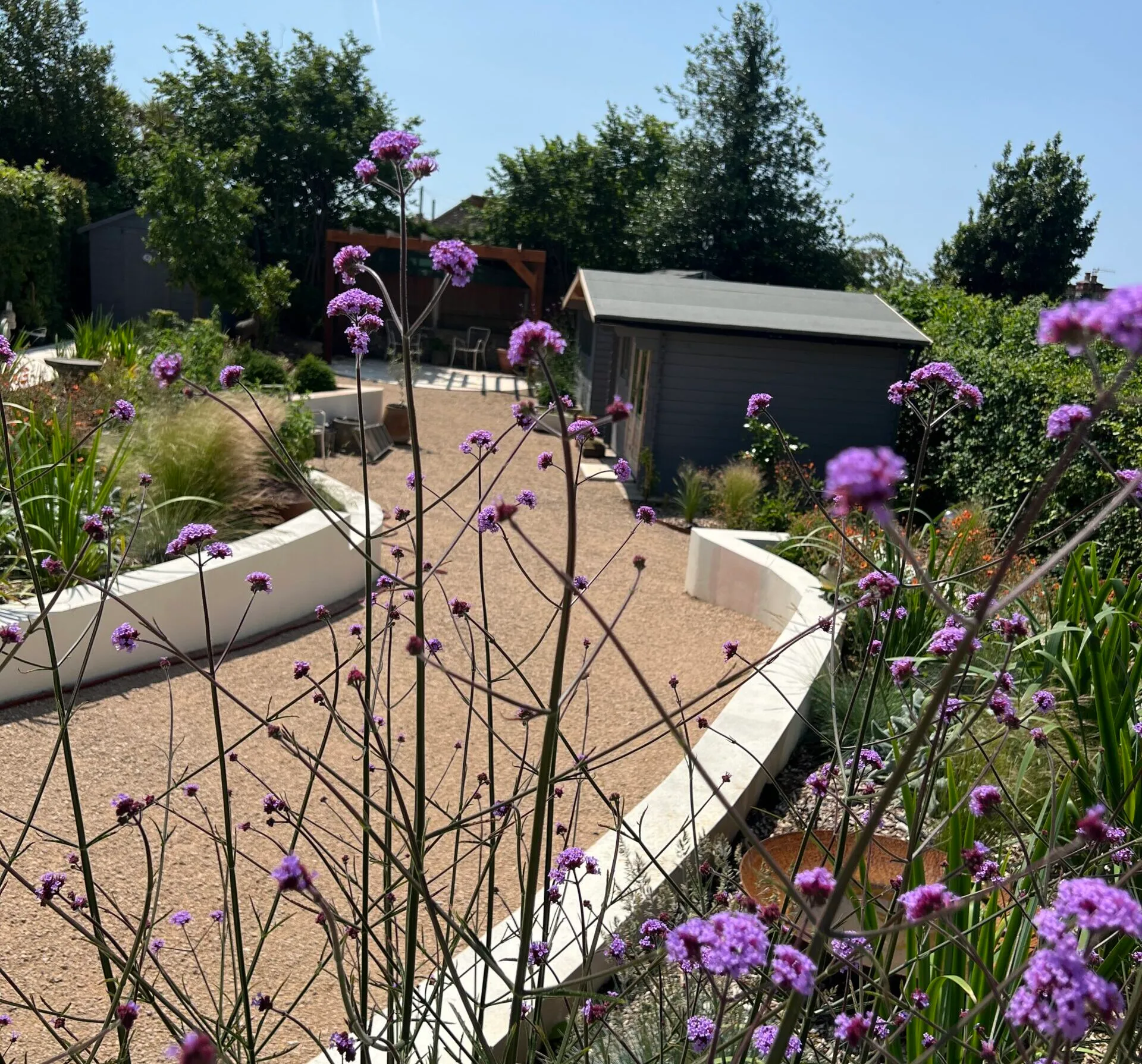 A sloped garden with selfbinding gravel path and Verbena plants. A sloped garden with selfbinding gravel path and Verbena plants.