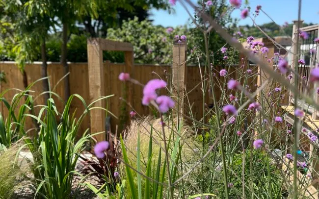 gardening for work-life balance